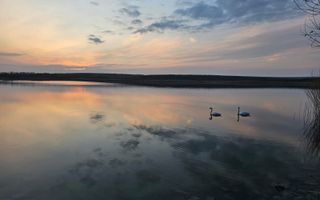 Containere amenajate în regim hotelier, lângă Lacul Chirița, Dancu - Iași - Poză 4