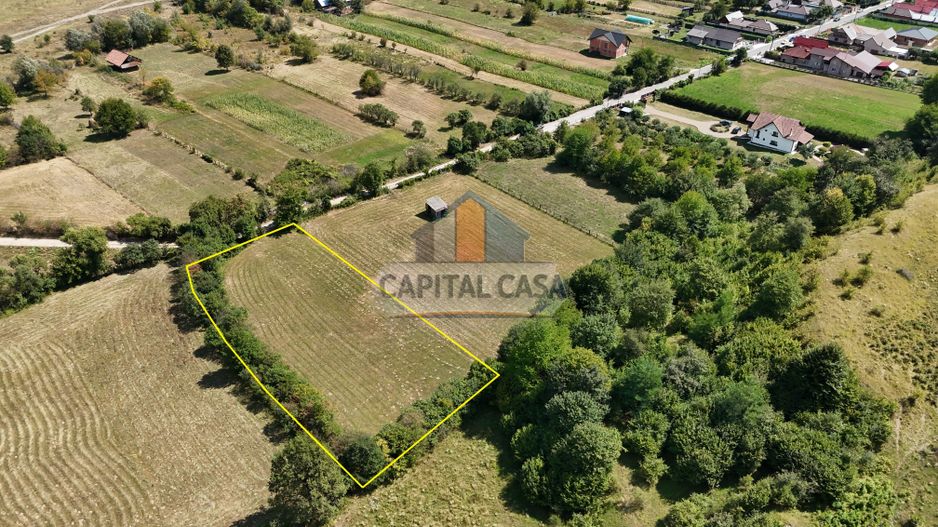 Teren superb de Vanzare in Darmanesti, Bacau - Poză 4