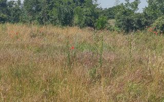 Vânzare 2 loturi de casă Dobreni Giurgiu - Poză 5