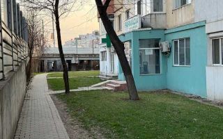 Spatiu comercial Podu ros/Nicolina - Poză 1