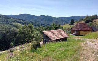 Teren extravilan investiție Rachitele Cluj - 31.555 mp - Poză 3