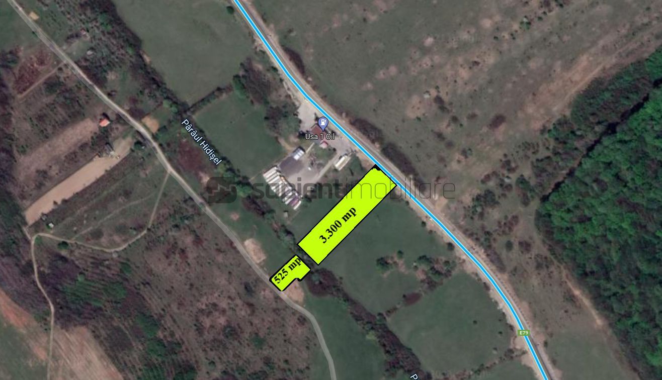 SAPIENT IMOBILIARE / Teren intravilan în Sânmartin - 3.825 mp - Poză 2