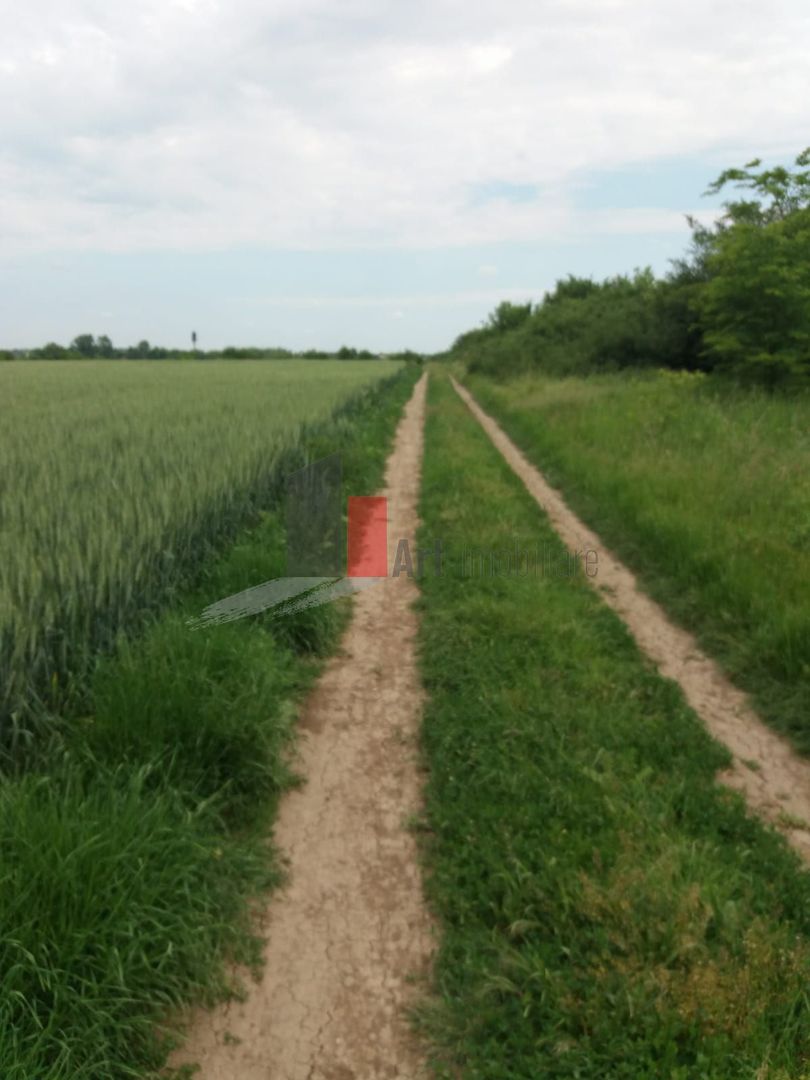 Teren Buftea cu iesire la lac - Poză 3