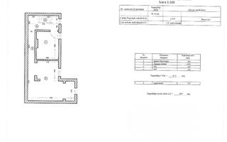 Vila spatioasa | Complet renovată | Central - Poză 31