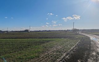 Teren Joita -  Bacu - Dragomiresti - Poză 1