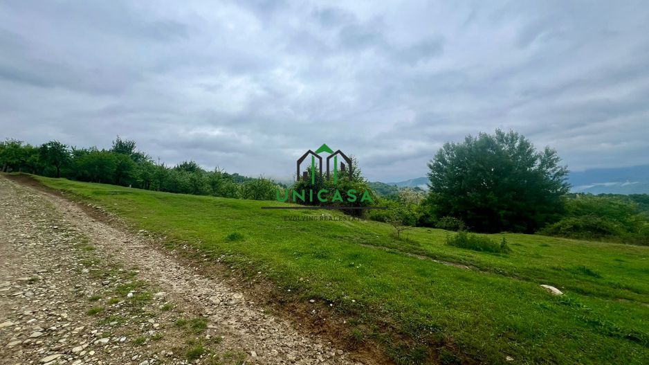 Teren 3507 mp/ Seaca/Calimanesti - Poză 4