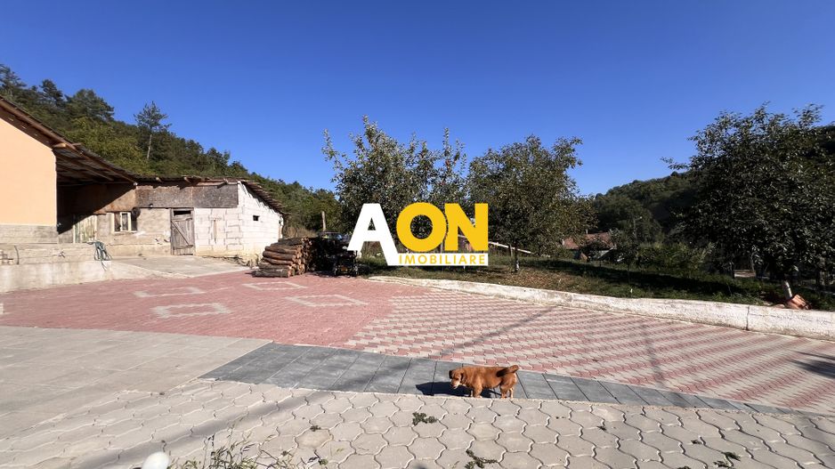 EXCLUSIVITATE | Casa de Vanzare | Valea Vintului | Teren 2980 mp - Poză 17