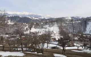 Teren Moieciu de Jos - Poză 4