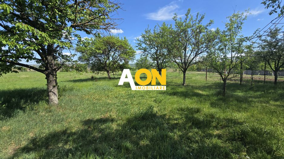 Casa Individuala, 4 Camere 1500mp Teren, Partos - Poză 16