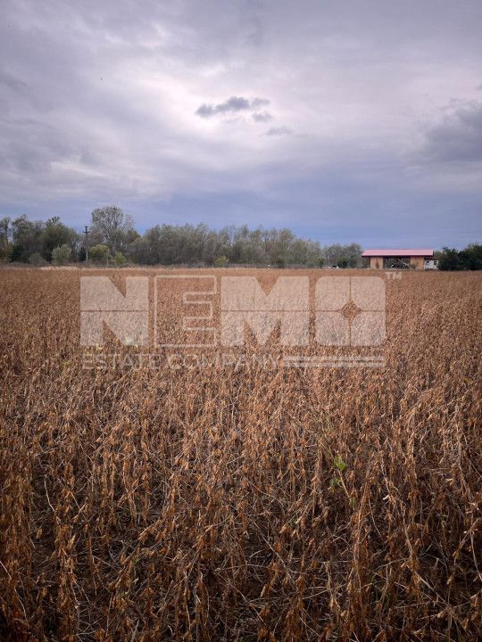 Teren zona buna. - Poză 1