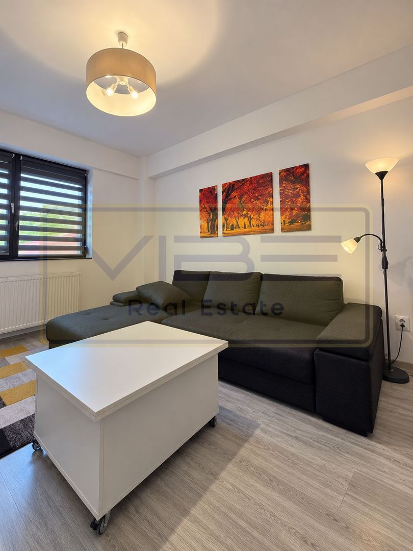 Valea Adanca - 2 camere + curte - decomandat - 399 euro - Poză 2