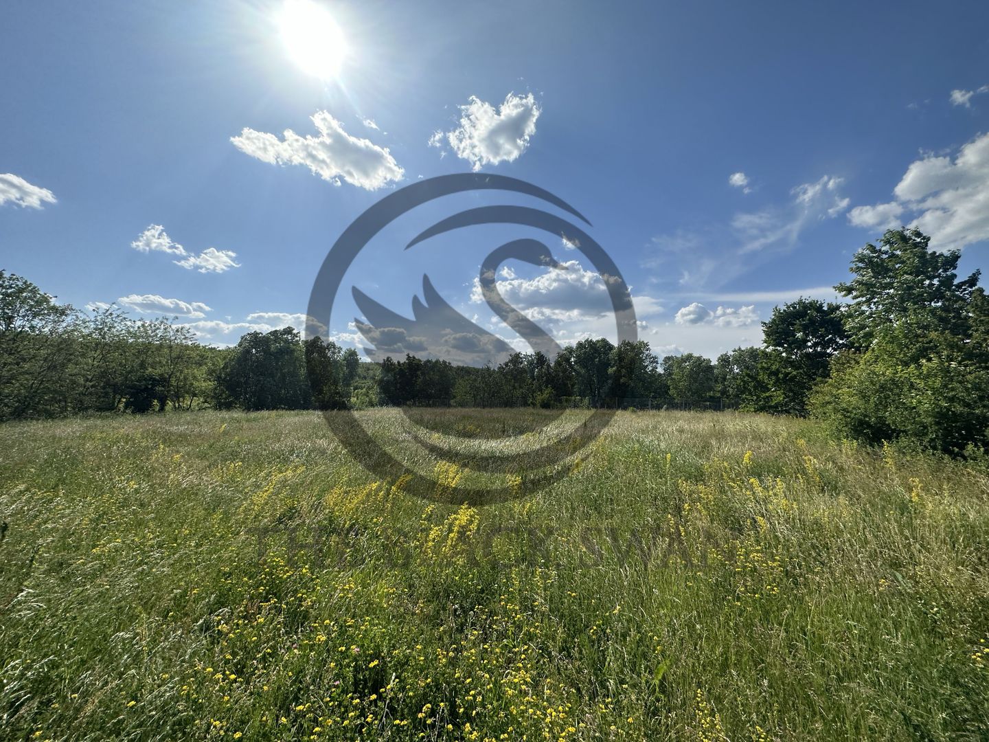 Teren Vanzare 11.000 MP Ghirdoveni | Comision 0% - Poză 12