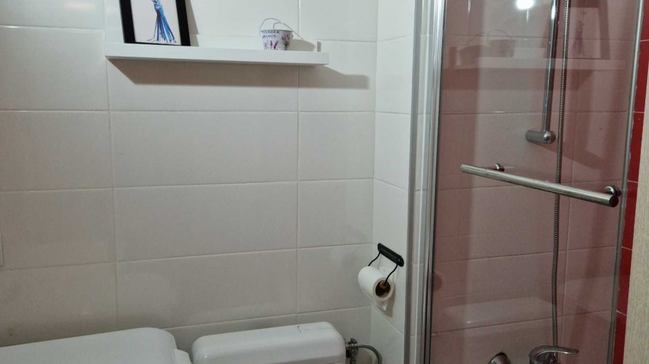 Apartament 2 camere - Grozavesti - Poză 8