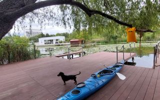 Vila cu ponton de inchiriat | Lacul Snagov - Poză 2