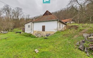 Casă cu teren de 24.679,73 mp, în Hălmagiu, Arad - Poză 9