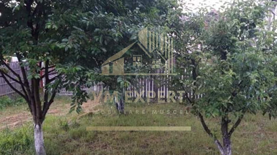 CASA 3 CAMERE, TEREN 800 MP, CAMPULUNG - Poză 5