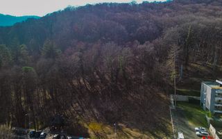 Teren - Caciulata - Deschidere la E81 - Poză 2