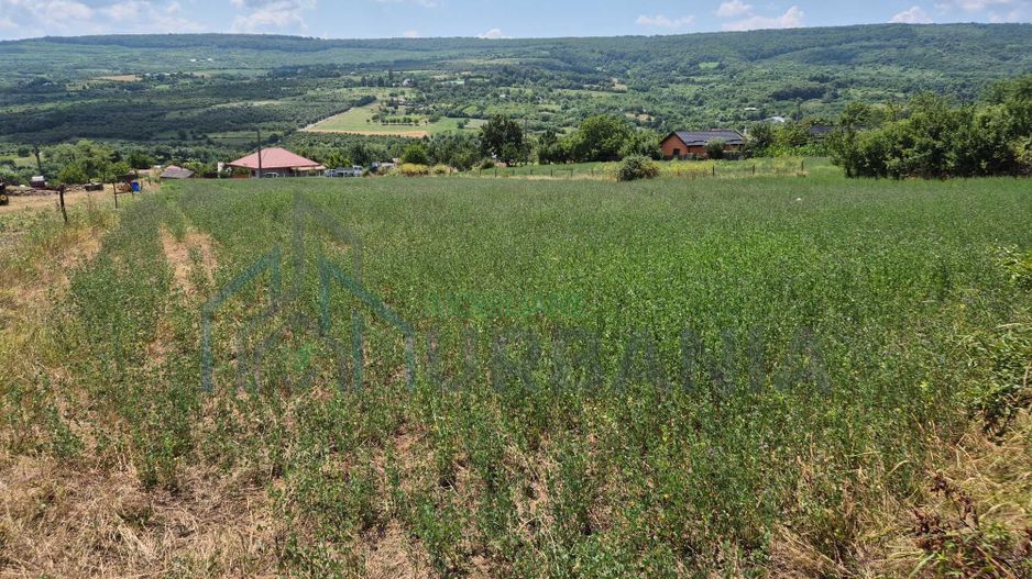 Teren intravanal de vanzare in Tomesti-Goruni, Iasi - Suprafete intre 700 si 800 mp - Poză 4