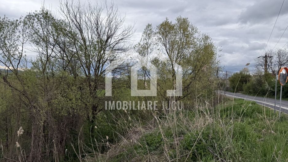 Teren intravilan – 1.738 mp | Jucu de Sus, zona Moliturii, front 23 - Poză 3
