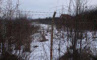 Ofertă Imediată: Teren pentru Construcții în Daia! - Poză 8