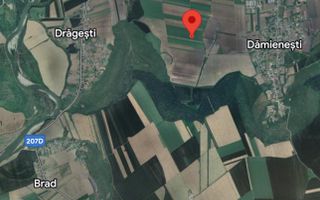 Teren extravilan agricol 1 ha de vânzare- Damienești, Bacău - Poză 2