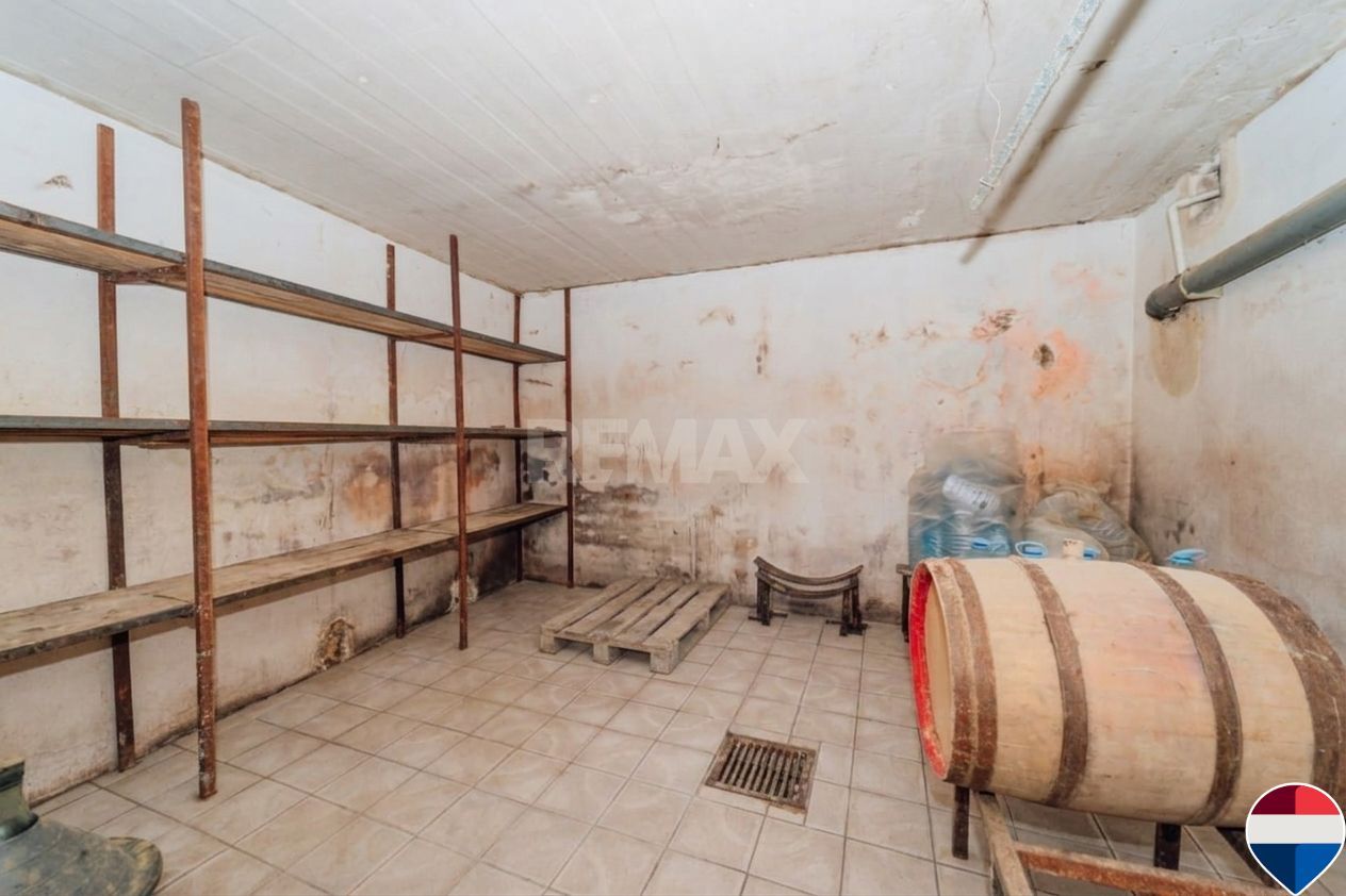 Casă de vânzare, Obileni, Hîncești ,185 m² ,16 ari, 2 garaje - Poză 26