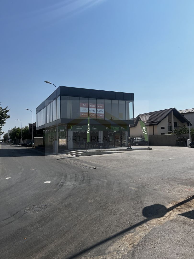 SPATIU COMERCIAL 230 mp - Poză 7