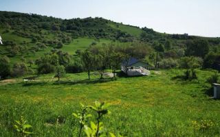 Teren | Intravilan | 5129 MP | 2 Cabane AFrame | Oportunitate Investiție | Bradu - Poză 2