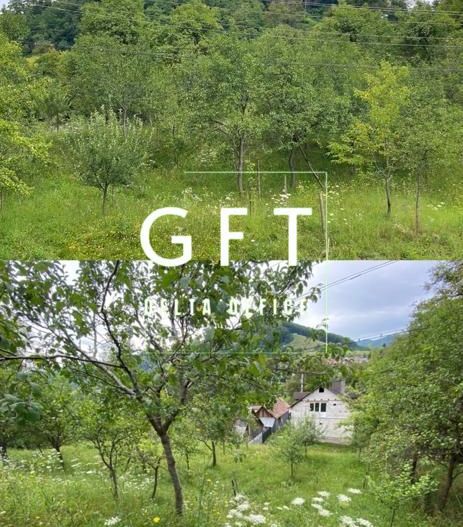 Casa 4 camere-teren/livada 1250 mp-pretabil locuire-Nepos - Poză 3