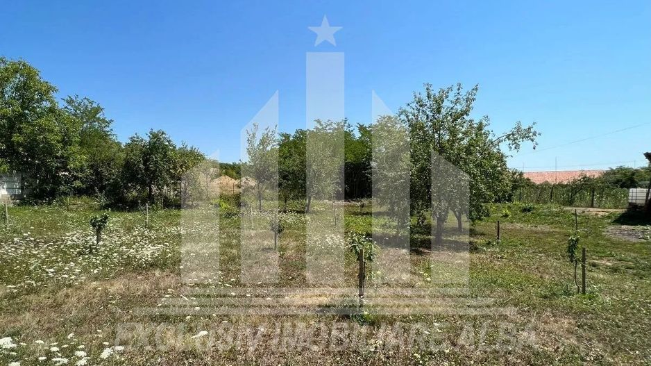 Casa individuala de vanzare, Cistei - Poză 5