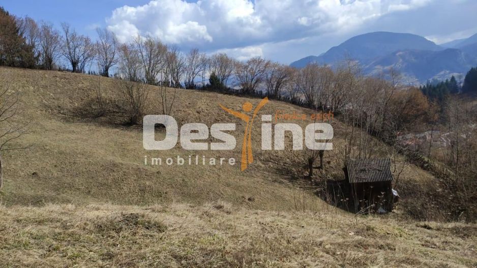 Teren 5000 mp, ideal cabana, pensiune,  in zona de interes  turistic  Rucar-Bran - Poză 4