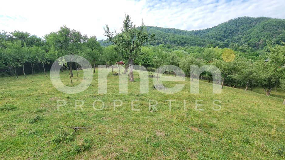 Teren de vânzare | Suprafață 10.040 mp | 2.500 € / ar | Strada Nucului - Poză 7