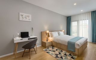 Theodor Pallady - Ansamblu Premium - Dezvoltator - Poză 5