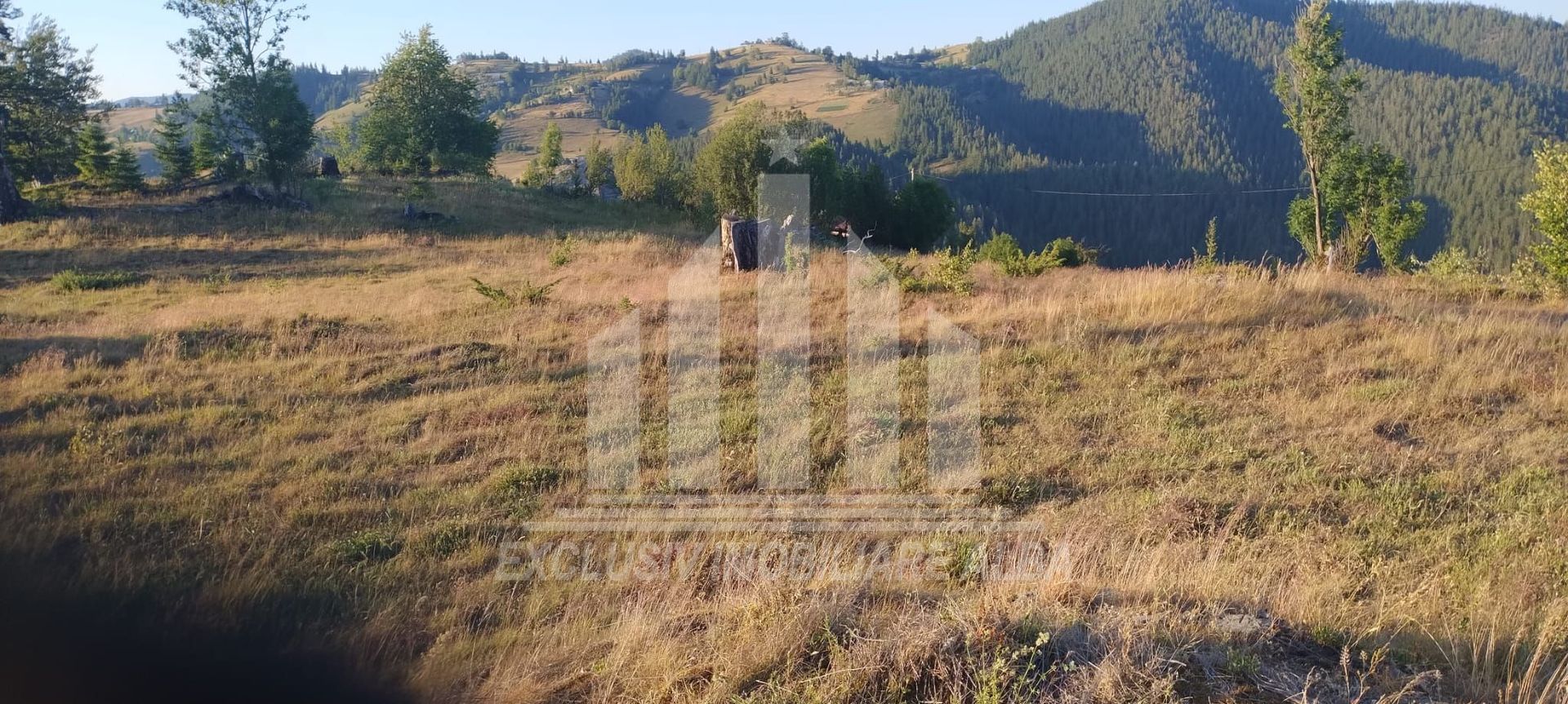 Teren pretabil constructie cabane in Garda de Sus - Poză 3