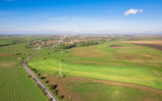 Teren de 104000 mp în Vinga - Poză 7