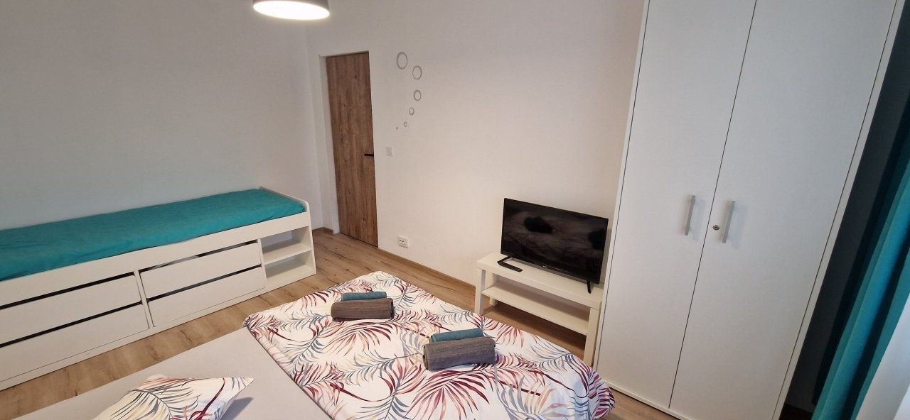 Apartament 1 camera regim hotelier Provista - Narcisei - Poză 1