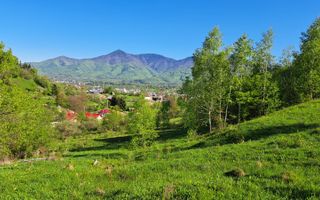 Teren extravilan de vanzare, Bistrita Bargaului- 10 minute de Colibita - Poză 10
