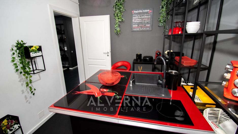 Ap. 1 camera + nisa cu pat baldachin, 41mp + terasa, zona Leroy Merlin - Poză 9