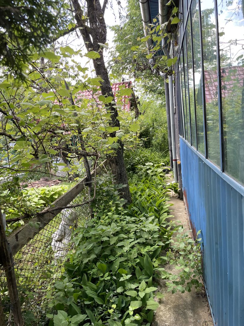 Casa in Comuna Geaca - Poză 18