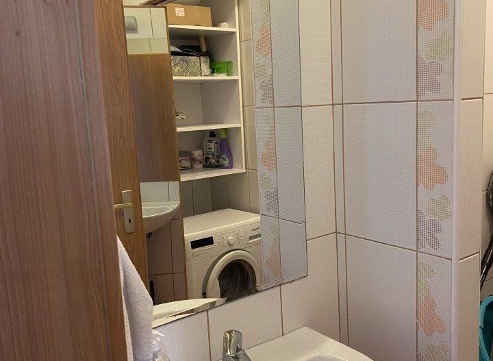 Apartament 3 camere Iancu Nicolae | Zoo - Poză 9