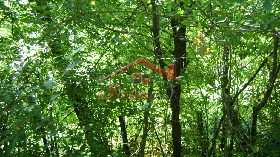 Teren de vânzare în Breaza– zonă liniștită, ideal pentru relaxare - Poză 20