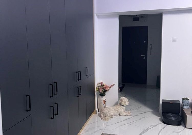 Apartament 2 camere zona Basarabiei - Diham - Poză 3