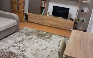 Apartament cu 2 camere,etaj 2,Mircea cel Batran,80900 euro