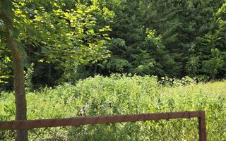 Teren Izvorul Muntelui, Bicaz, la baza traseelor de la Vârful Toaca - Poză 7