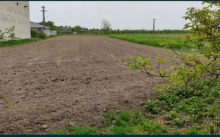 Vand casa cu teren ultracentral in Medisu Aurit - Poză 2