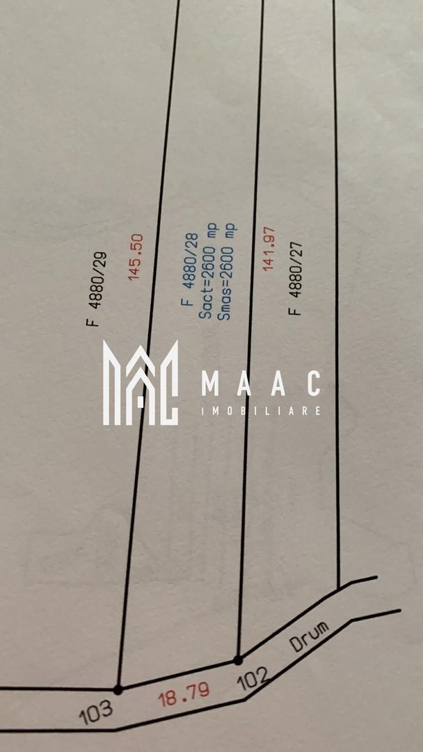 Teren Extravilan | 2.600 MPU | Talmaciu - Poză 4