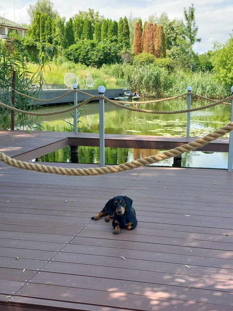 Vila cu ponton la lacul Snagov - Poză 5