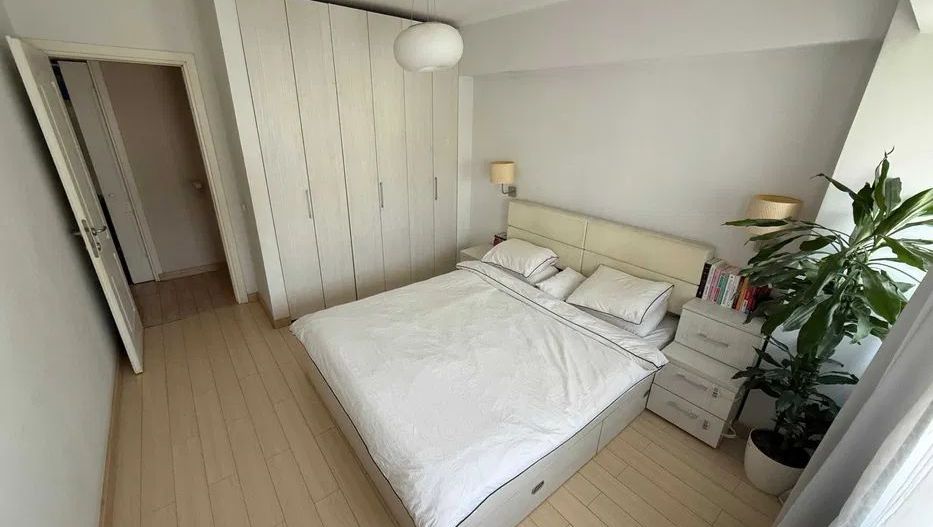 APARTAMENT SUPERB TIRULESCU | PIATA VICTORIEI - Poză 4
