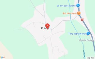 Proprietate de 30.000 mp cu casa de 600 mp, anexe si livada - Poiana (Schitu Duca) - Poză 1