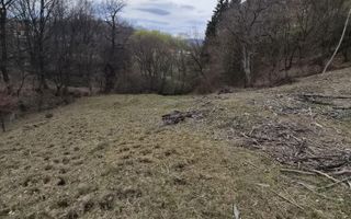 Teren 5930 mp- 1,4 km centru- investitie, cabana in natura - Poză 2